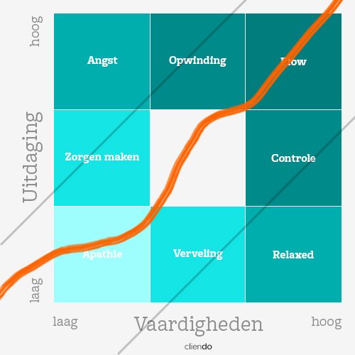 Flow Model. Wat is flow 2 