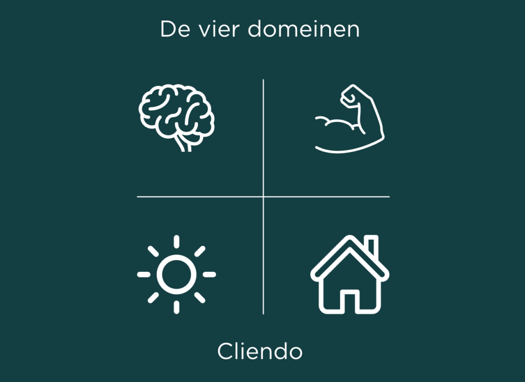 Cliendo: de vier domeinen, gezondheid, daginvulling en woonomstandigheden